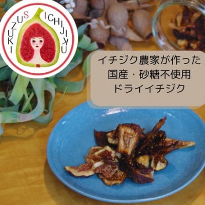 愛知県産　ドライイチジク