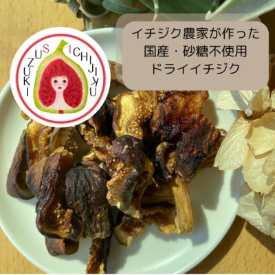 愛知県産　ドライイチジク