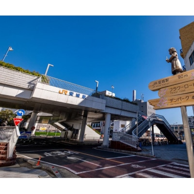 安城市の空き家見守りサービス(年4回・外観チェック&写真報告)