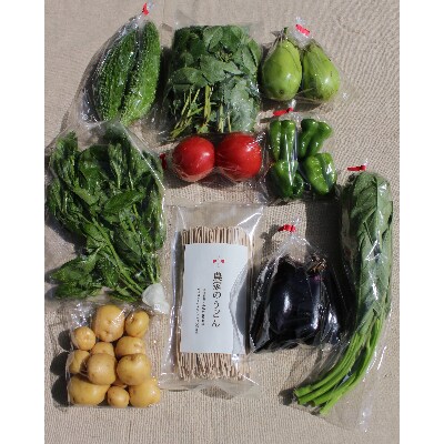 栽培期間農薬不使用 夏野菜宅配セット～固定種のみ使用の無肥料栽培期間農薬不使用の野菜セット～