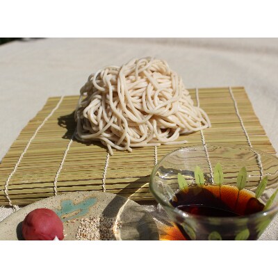 栽培期間農薬不使用 夏野菜宅配セット～固定種のみ使用の無肥料栽培期間農薬不使用の野菜セット～
