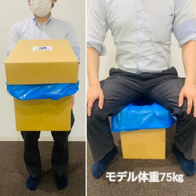 災害用段ボールトイレだんぼーまる(大)
