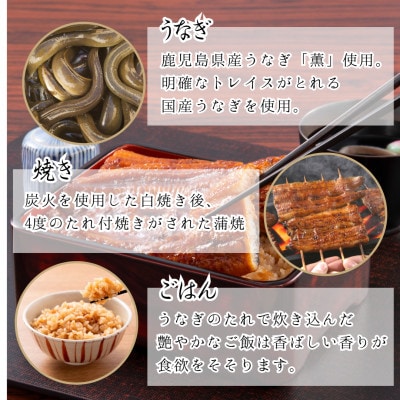 鹿児島県産うなぎ使用　うなぎめし(2食セット)