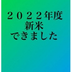 埼玉県幸手市権現堂産お米 コシヒカリ 精米9kg 令和4年産