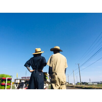 幸せ手こまい　コシヒカリ　10kg