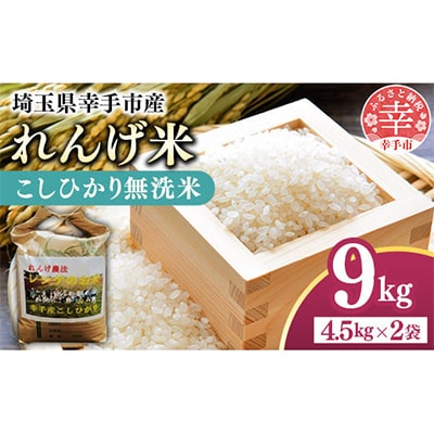 レンゲ米　こしひかり　無洗米・精米　4.5kg×2袋