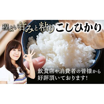 レンゲ米　こしひかり 精米 5kg×2袋