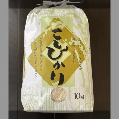 令和5年産 埼玉県幸手市産特別栽培コシヒカリ 精米10kg | お礼品詳細