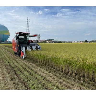 2023年8月発送開始『定期便』埼玉県幸手市産 特別栽培コシヒカリ 精米10kg 隔月 全6回