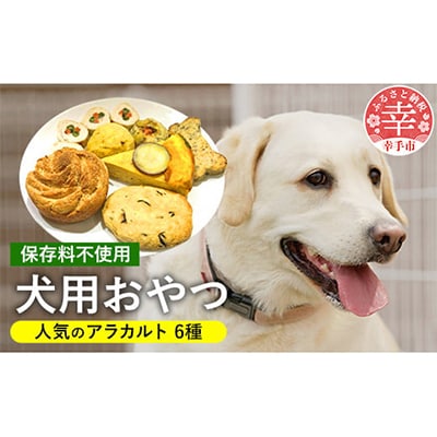 犬用おやつアラカルト(6ケ)