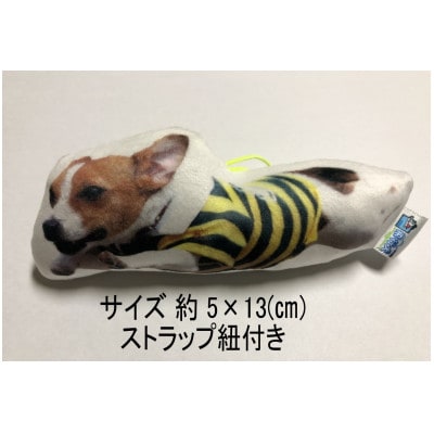 飛行犬撮影所東日本本部「飛行犬撮影」