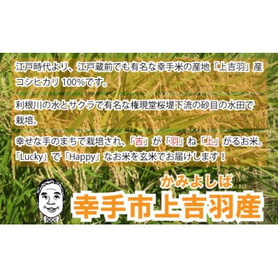 【令和5年産米】ハッピー(幸手市)でラッキー(上吉羽)なお米 コシヒカリ玄米10kg