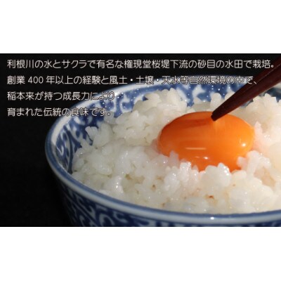 【令和5年産米】食味特上クラスを目指す銘柄　彩のきずな　精米10kg