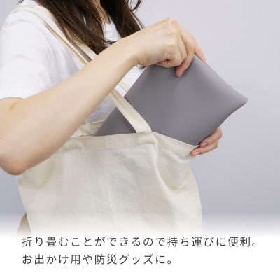 埼玉県幸手市 INK シリコーントイレトレー インク ハリオ HARIO ペット トイレマット 老犬