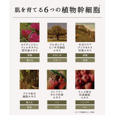 ロウェナ エレメンタルミスト　150g×1本