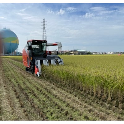 埼玉県幸手市産特別栽培コシヒカリ　玄米10kg