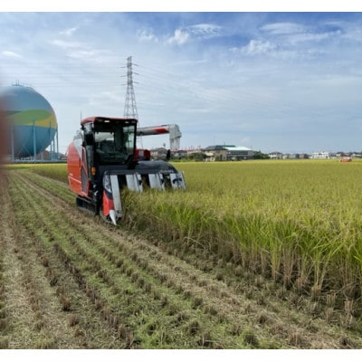 埼玉県幸手市産特別栽培コシヒカリ　精米10kg