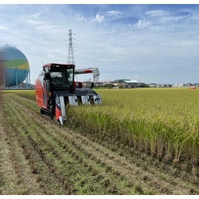 埼玉県幸手市産特別栽培コシヒカリ　玄米5kg