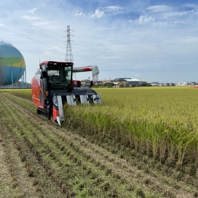 埼玉県幸手市産特別栽培コシヒカリ　精米5kg
