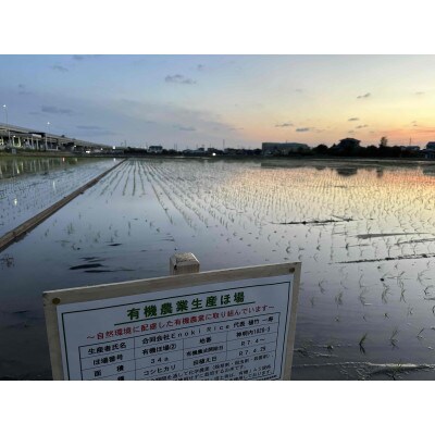 【幸ヒカリ】栽培期間中農薬・化学肥料不使用　埼玉県幸手市産コシヒカリ玄米10kg