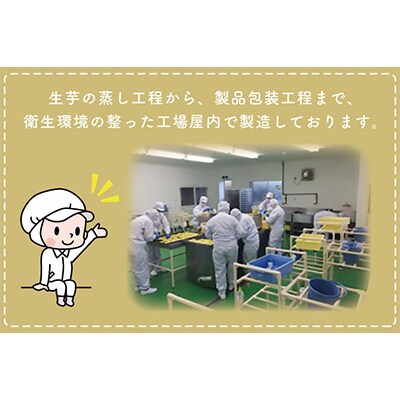 【毎月定期便】なめがたさんちの干しいも　紅はるか　スティック900g(CU-119)全12回