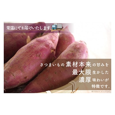 【毎月定期便】【サイズ別定期便】なめがたさんちの 干し芋 紅はるか全8回