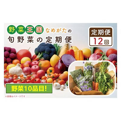 【毎月定期便】野菜王国なめがたの旬野菜の定期便全12回　CU-130