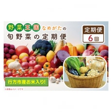 【毎月定期便】野菜王国なめがたの旬野菜の定期便(米入り)CU-137 全6回