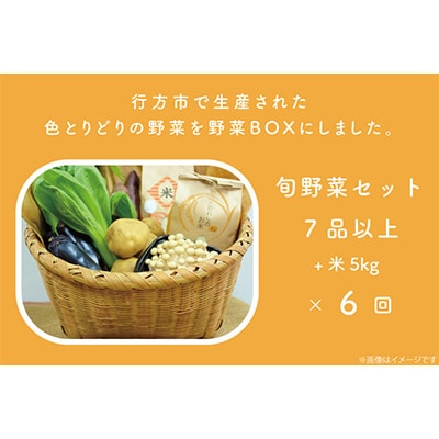 【毎月定期便】野菜王国なめがたの旬野菜の定期便(米入り)CU-137 全6回