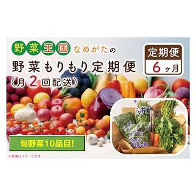 【2週間毎定期便】【6ヶ月定期便】野菜王国なめがたの野菜もりもり定期便月2回発送CU-141全12回