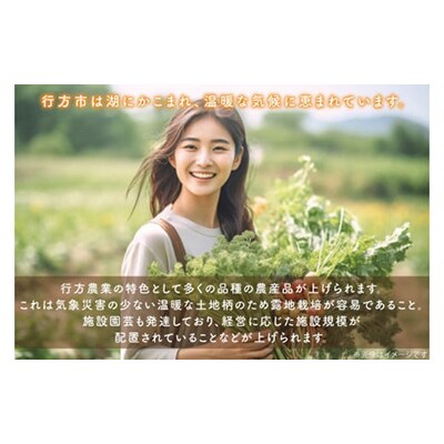 【2週間毎定期便】【6ヶ月定期便】野菜王国なめがたの野菜もりもり定期便月2回発送CU-141全12回
