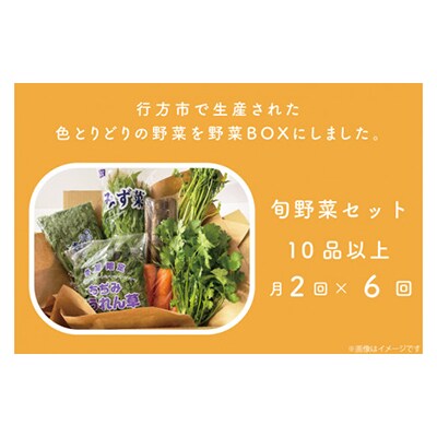 【2週間毎定期便】【6ヶ月定期便】野菜王国なめがたの野菜もりもり定期便月2回発送CU-141全12回