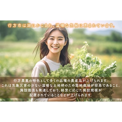 【毎月定期便】野菜王国なめがたの旬野菜の定期便(さつまいも入り) CU-134 全12回