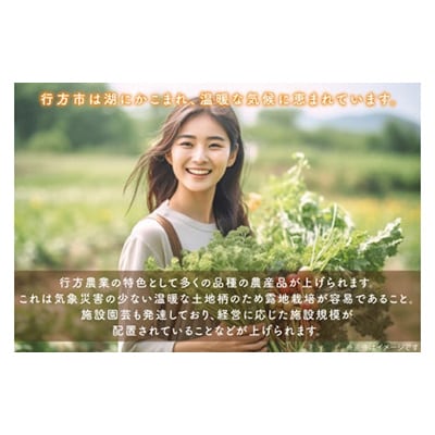 【2週間毎定期便】【3ヶ月定期便】野菜王国なめがたの野菜もりもり定期便　月2回発送CU-140全6回