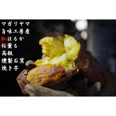 茨城県産紅はるか 冷凍燻製焼き芋 10本セット お礼品詳細 ふるさと納税なら さとふる 茨城県産紅はるか 冷凍燻製焼き芋 10本セット お礼品詳細 ふるさと納税なら さとふる