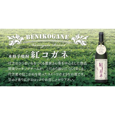 鹿行地域地酒セット(我は勝つ&紅コガネ)