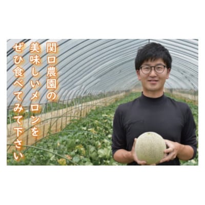【4月下旬より順次発送】クインシーメロン(3～4玉)　BW-17