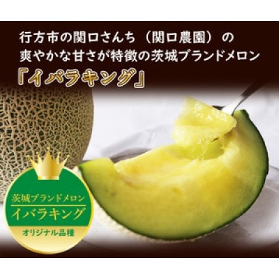 【2026年5月より順次発送】プレミアムサイズイバラキングメロン 1玉(約2kg)