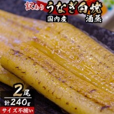 【訳あり】国内産うなぎ白焼(酒蒸)2尾合計約240g(サイズ不揃い)