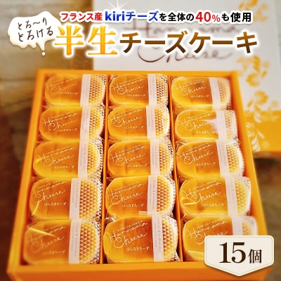 とろ～りとろける半生チーズケーキ　15個