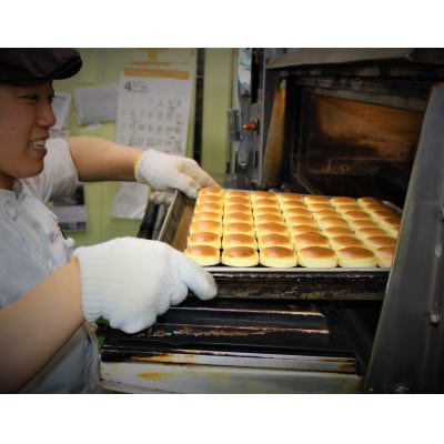 とろ～りとろける半生チーズケーキ　8個