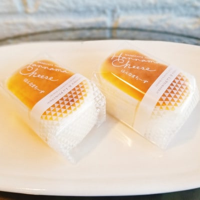 とろ～りとろける半生チーズケーキ　10個
