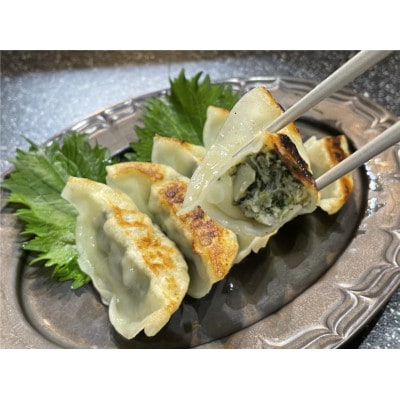 茨城県産銘柄豚ローズポーク使用　俺達の「れんこんまん」としそたっぷり「肉餃子」2袋セット