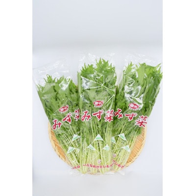 「みず菜」150g×20袋