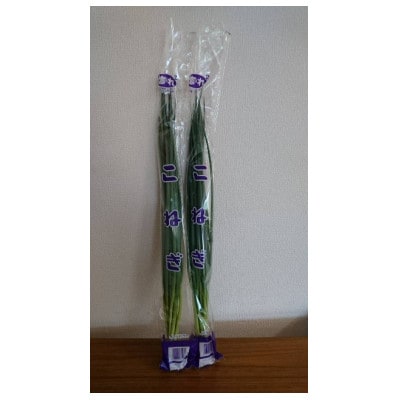 「こねぎ」 100g×30束