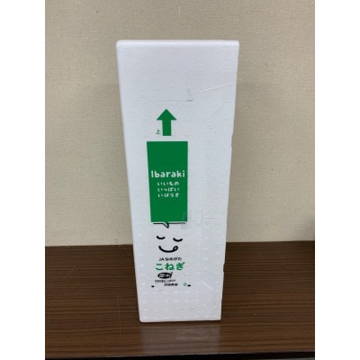「こねぎ」 100g×30束