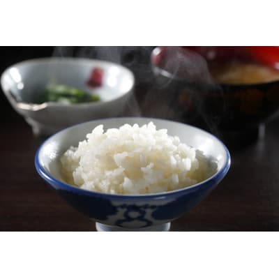 <パックご飯>JAのごはん　茨城県産コシヒカリ使用　200g×36個