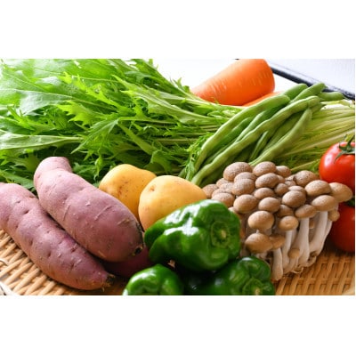 令和6年産　早場米「一番星」4kg(精米)&季節の野菜(8～10種)セット