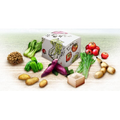 令和6年産　早場米「一番星」4kg(精米)&季節の野菜(8～10種)セット