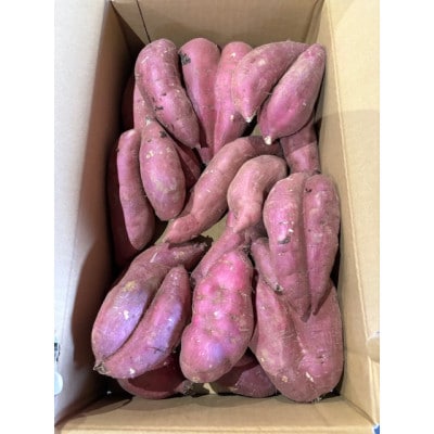 【訳あり】「行方かんしょ」さつまいも約5kg・C品(洗い・不揃い)
